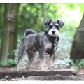Mini Waterproof Dog Harness for Small Dogs & Puppies