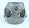 Adjustable Dog Harness & Lead Set