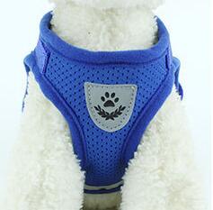 Adjustable Dog Harness & Lead Set