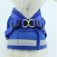 Adjustable Dog Harness & Lead Set