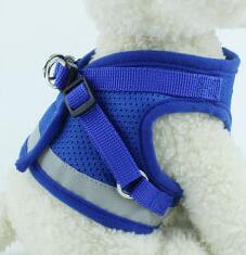 Adjustable Dog Harness & Lead Set
