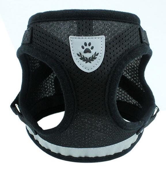 Adjustable Dog Harness & Lead Set