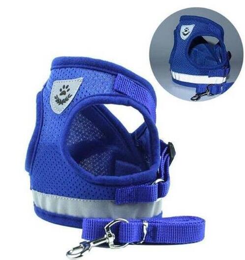 Adjustable Dog Harness & Lead Set