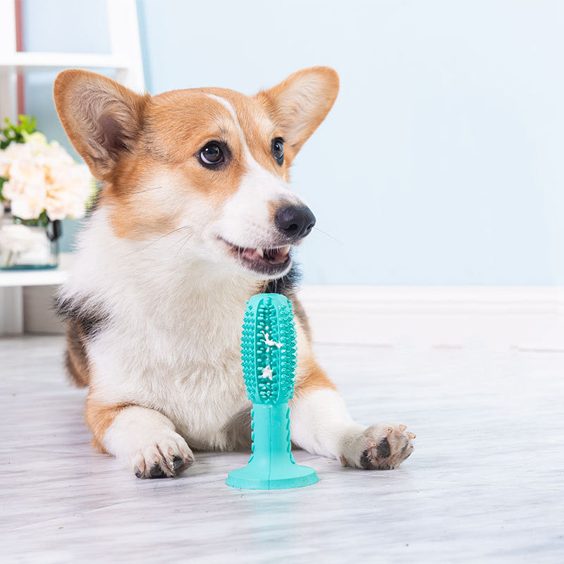 Interactive Dog Dental Chew & Treat Toy