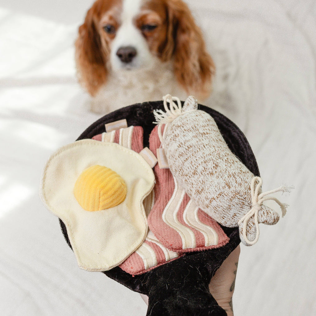 Interactive Breakfast Snuffle & Squeaky Dog Toy