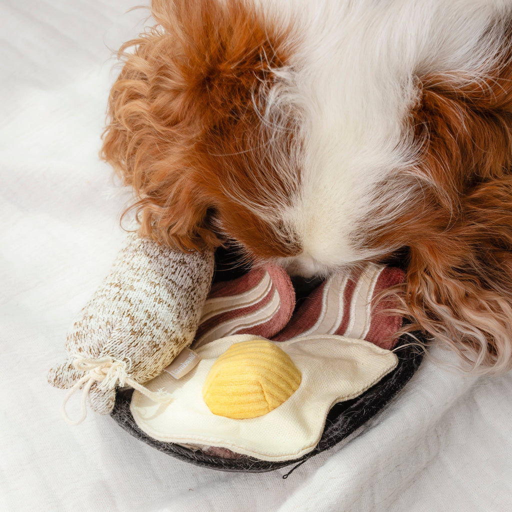 Interactive Breakfast Snuffle & Squeaky Dog Toy