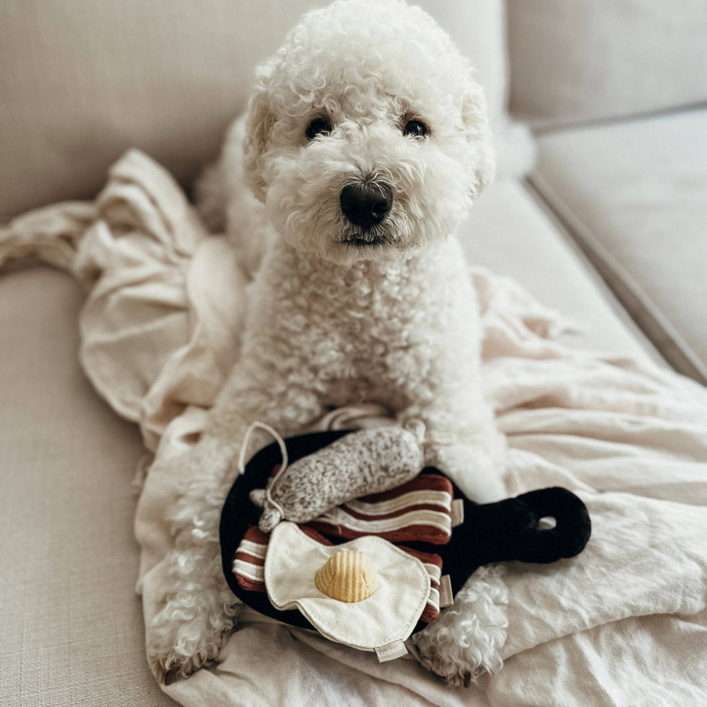 Interactive Breakfast Snuffle & Squeaky Dog Toy