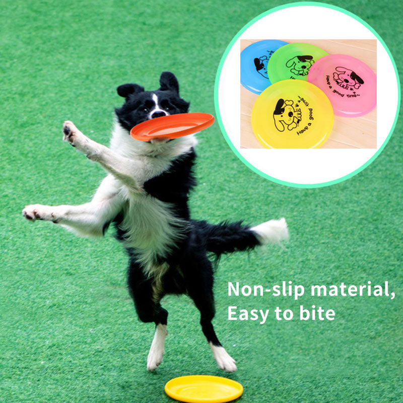 Silicone Flying Disc Dog Toy – Outdoor Play & Training