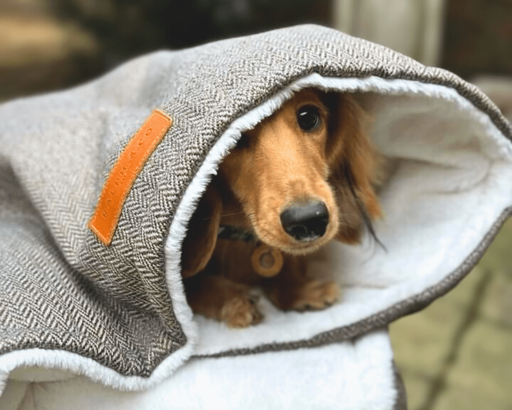 Lincoln Luxury Herringbone & Faux Fur Dog Blanket