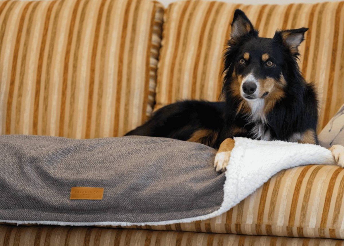 Lincoln Luxury Herringbone & Faux Fur Dog Blanket