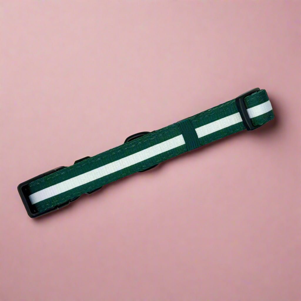 Forest Green Padded Dog Collar