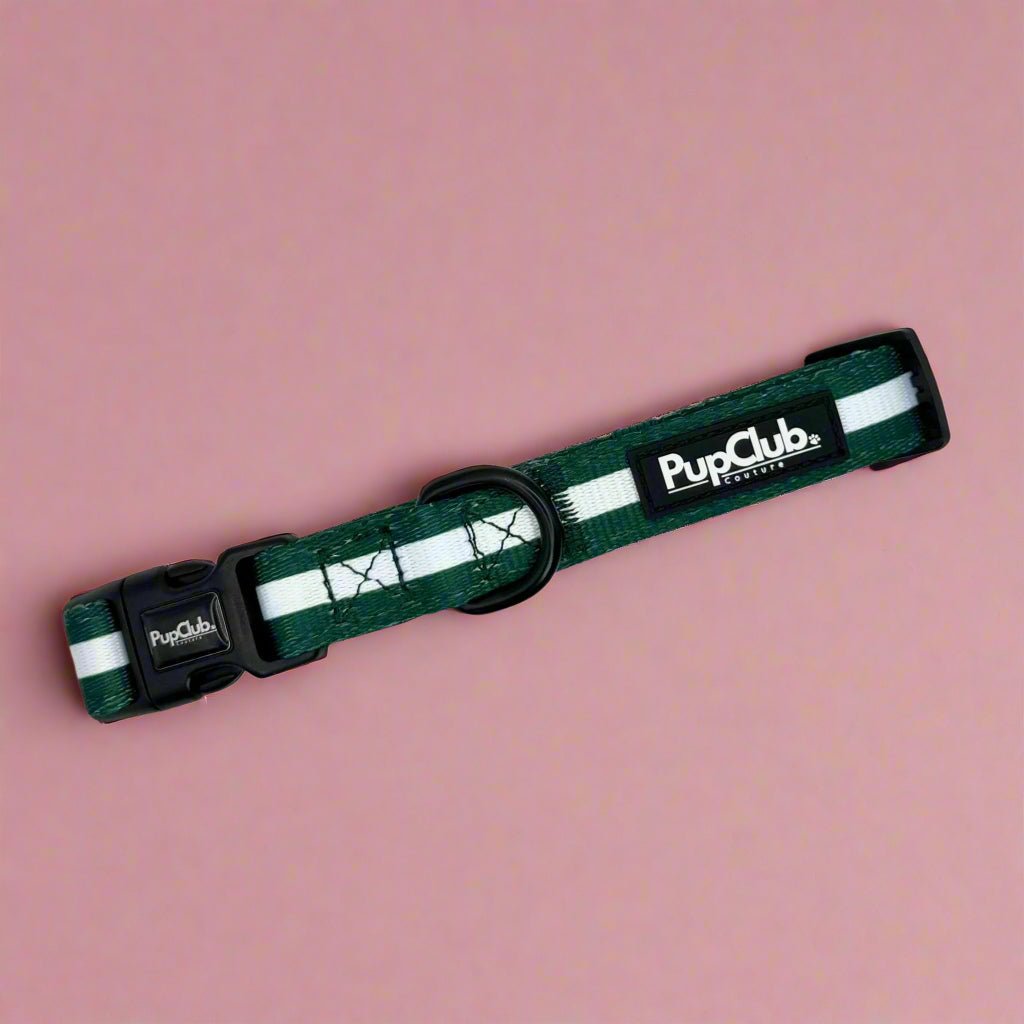 Forest Green Padded Dog Collar