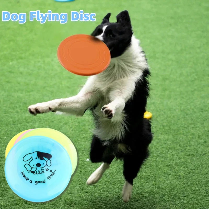 Silicone Flying Disc Dog Toy – Outdoor Play & Training