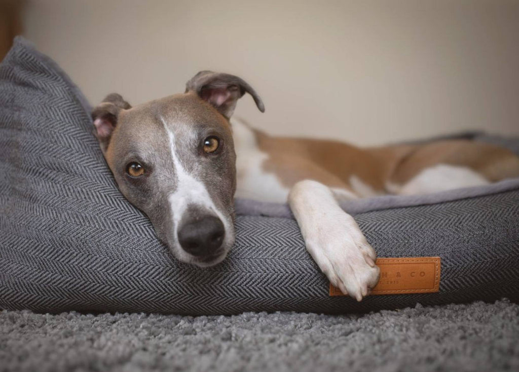 The Balmoral Luxury Herringbone Bolster Dog Bed