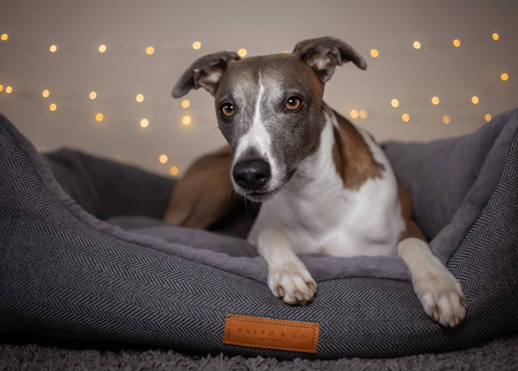The Balmoral Luxury Herringbone Bolster Dog Bed