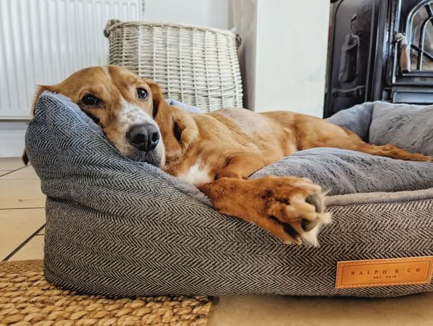 The Balmoral Luxury Herringbone Bolster Dog Bed